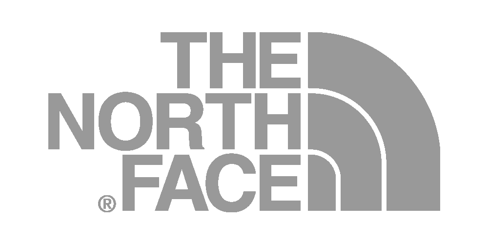 the north face copy